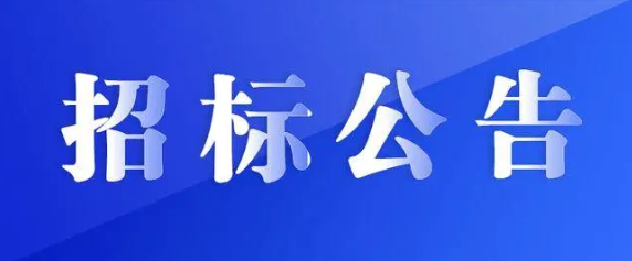 江西長運集團(tuán)戰(zhàn)略規(guī)劃咨詢服務(wù)采購項目競爭性磋商公告